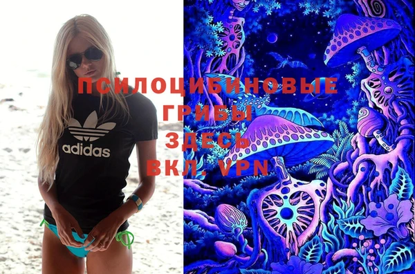 СК Кукмор