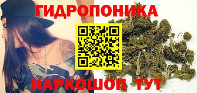 apvp Краснокаменск