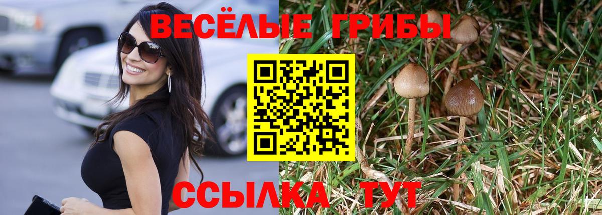 Черкесск  Галлюциногенные грибы мухоморы  Вход с VPN 