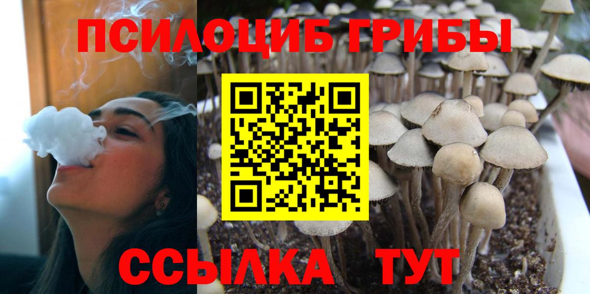 Псилоцибиновые грибы MAGIC MUSHROOMS Черкесск